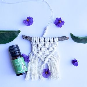 Essential oil car diffuser accessory